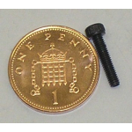 M2.5 x 12 Cap Head Black Screw pk/10